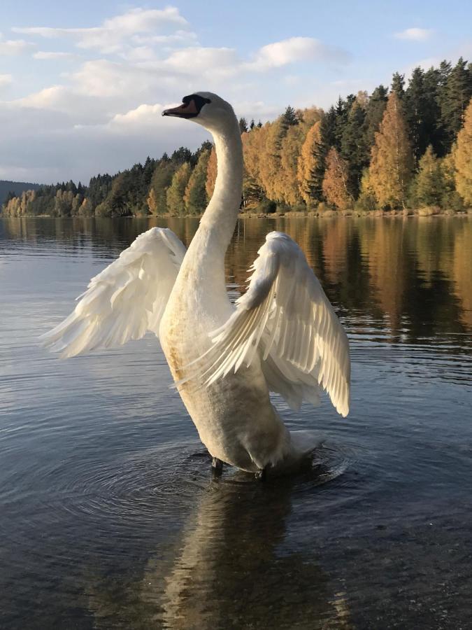 Dum Na Lipne Villa Lipno nad Vltavou Exterior foto